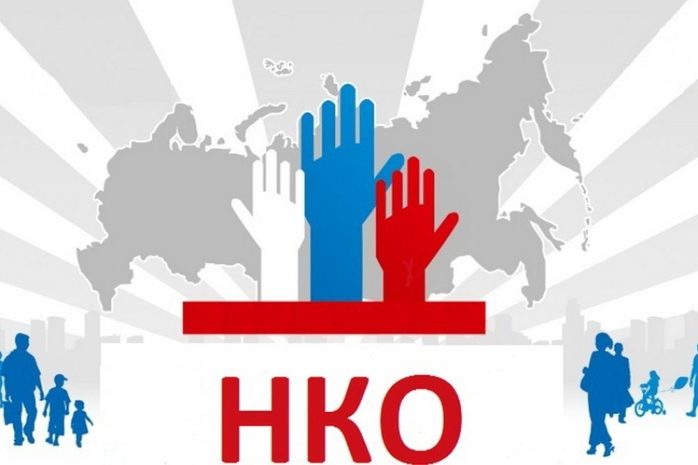 НКО в системе профилактики